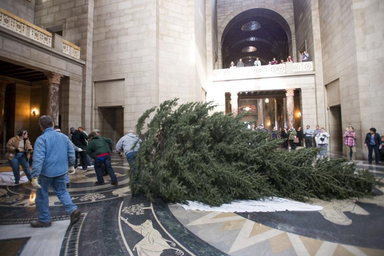 Capitol Christmas Tree
