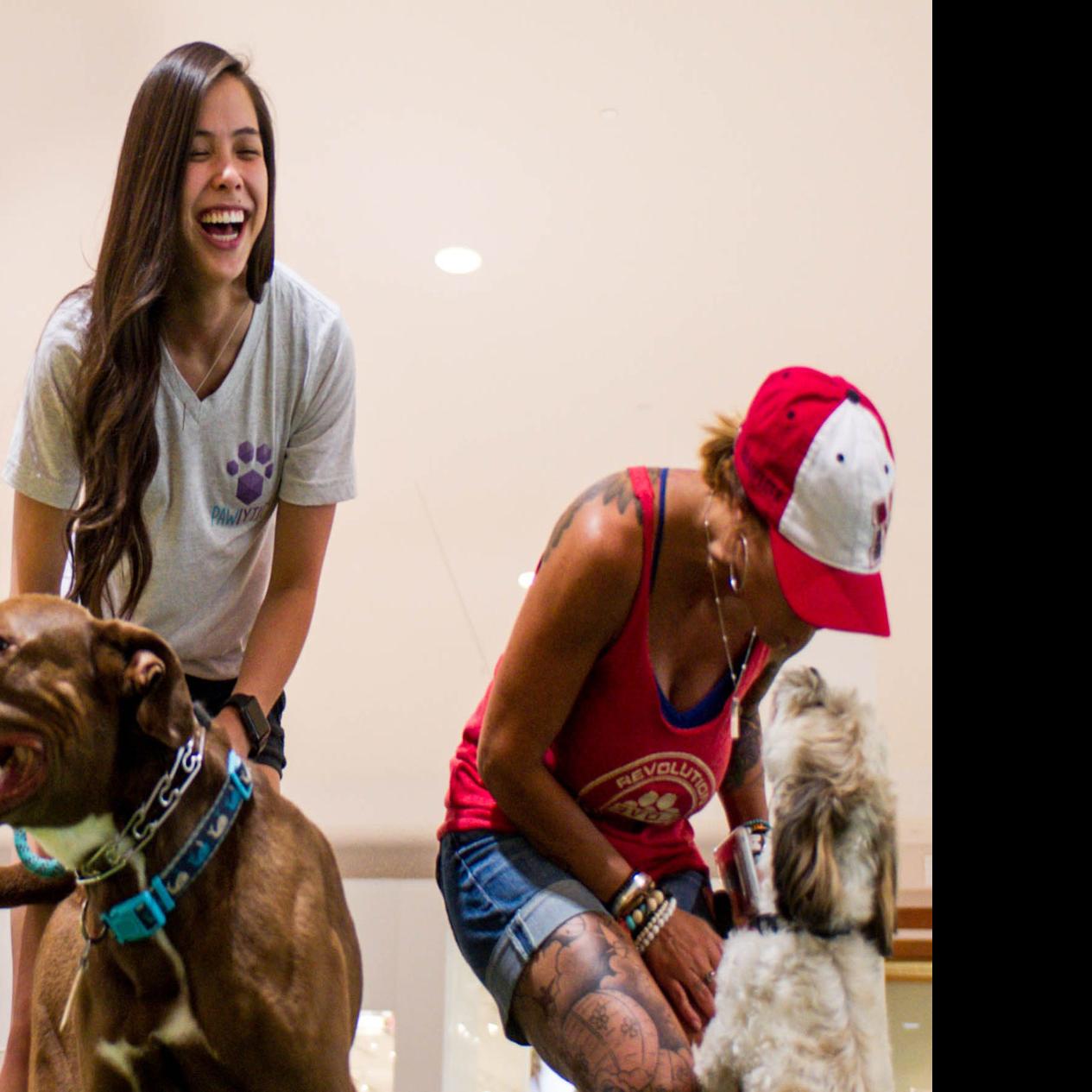 Pawlytics Founder Mixes Love Of Animals Entrepreneurship Local