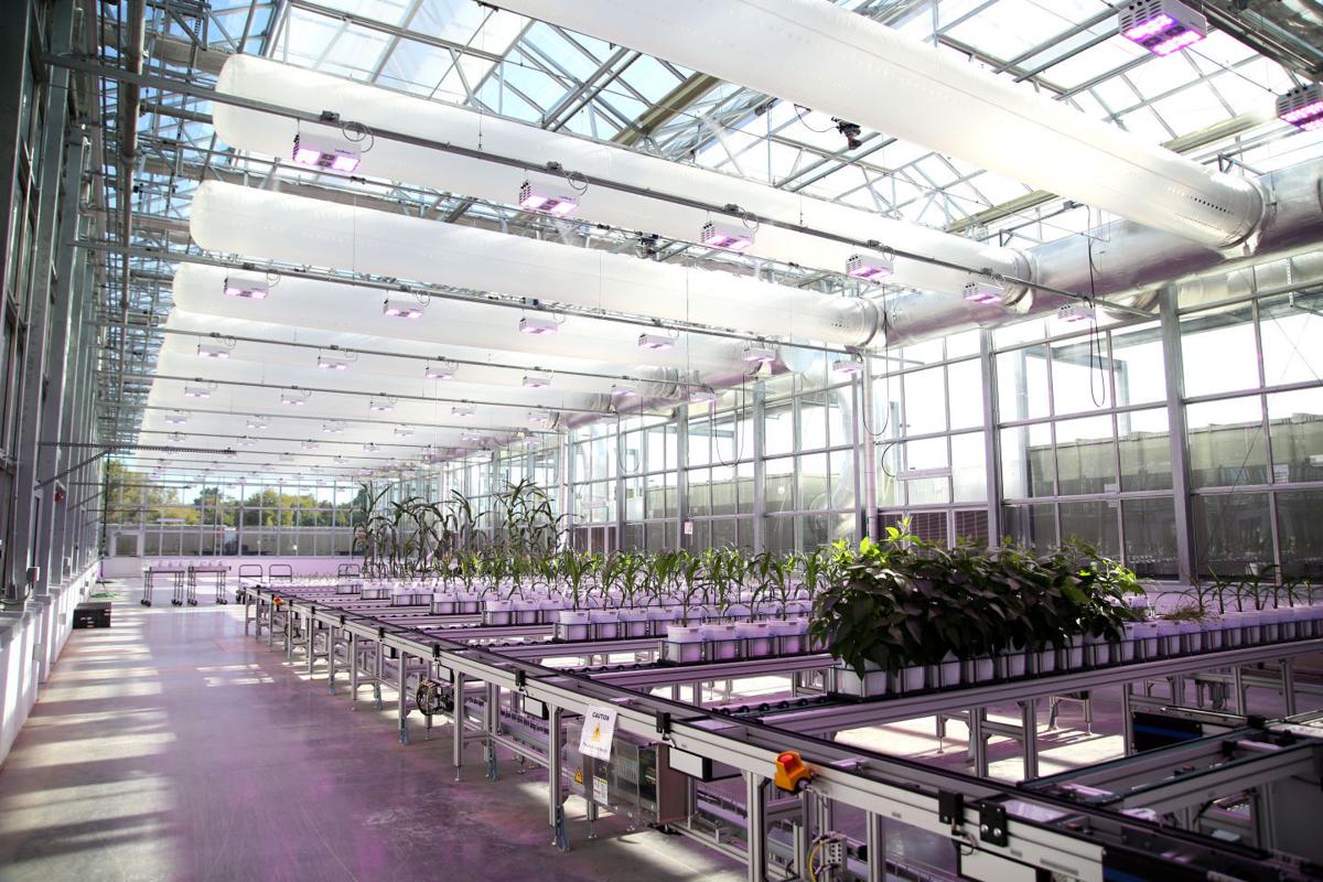 Global water, food perspectives descend on Lincoln