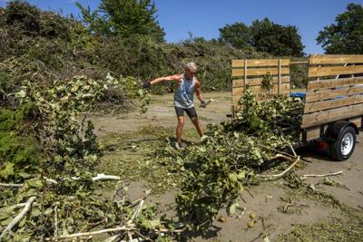 Tree debris, 8.5