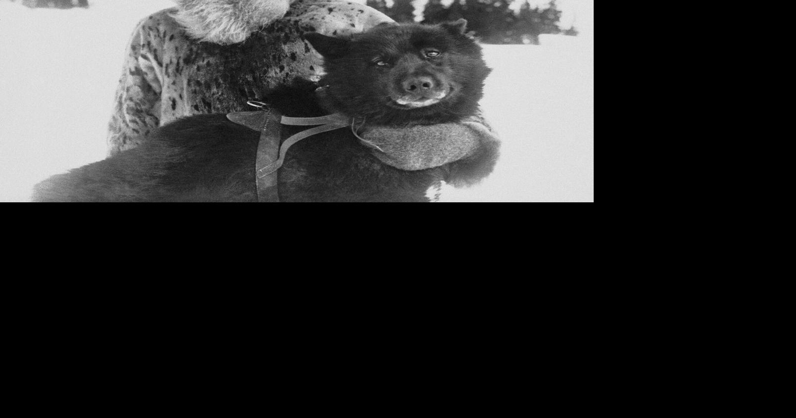100 years later, mushers and sled dogs still heroes in Nome