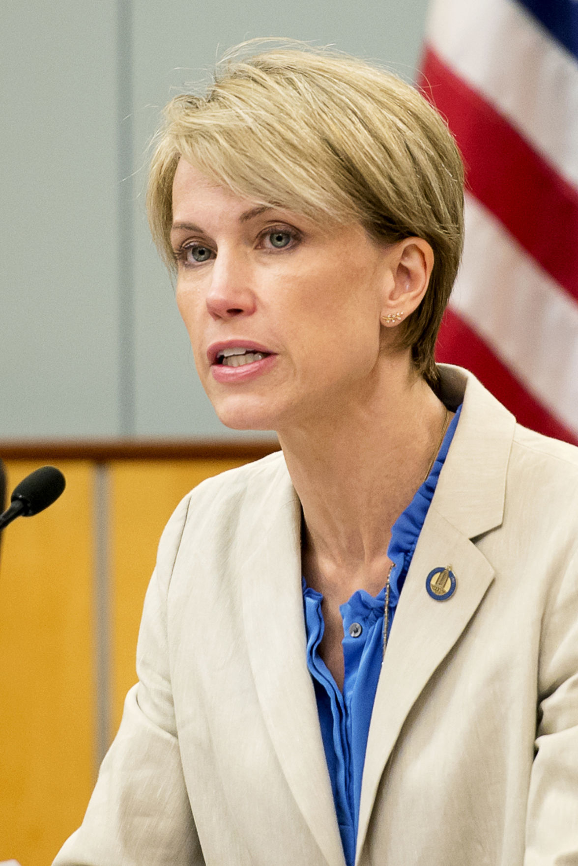 Gaylor Baird running for reelection to council seat Local Government