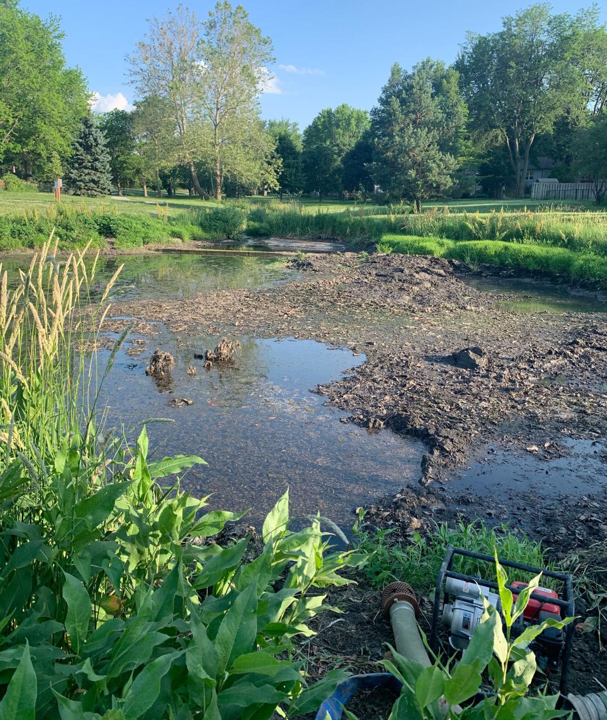 My Dogs Actually Gag City Working To Clean Up Stinky Trendwood Park Retention Pond Local Government Journalstar Com