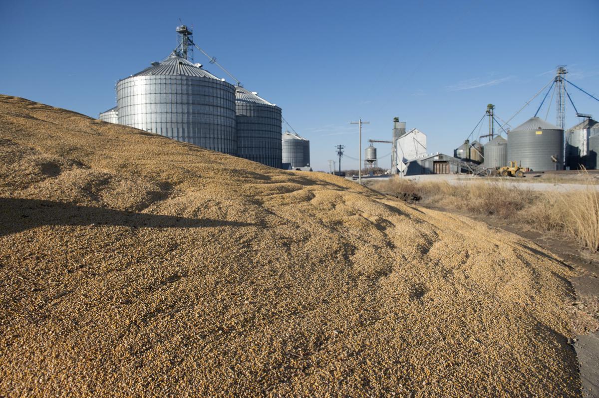 Ruby grain elevator, 11.16.2017