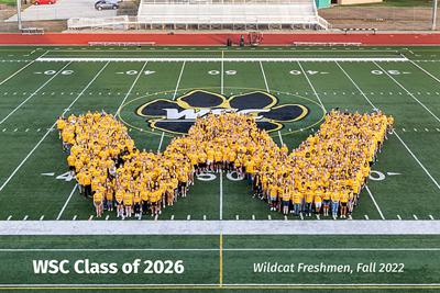 Wayne State