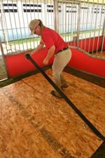 Budweiser Clydesdales arriving at the Mississippi Valley Fairgrounds
