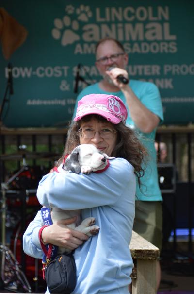 Allison Hunter-Frederick walks with adoptable dog Kira