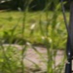 Mowing Etiquette Being A Courteous Neighbor Can Give You A