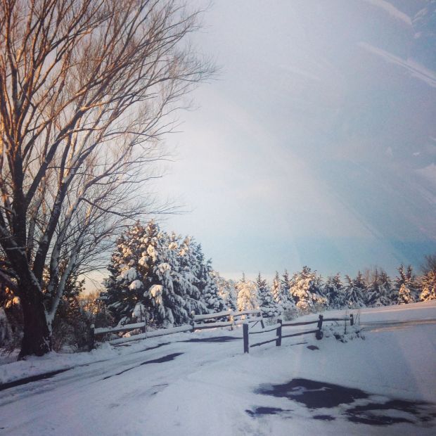 Photos Snow week in Lincoln Photo galleries