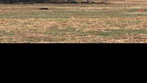 nebraska journalstar