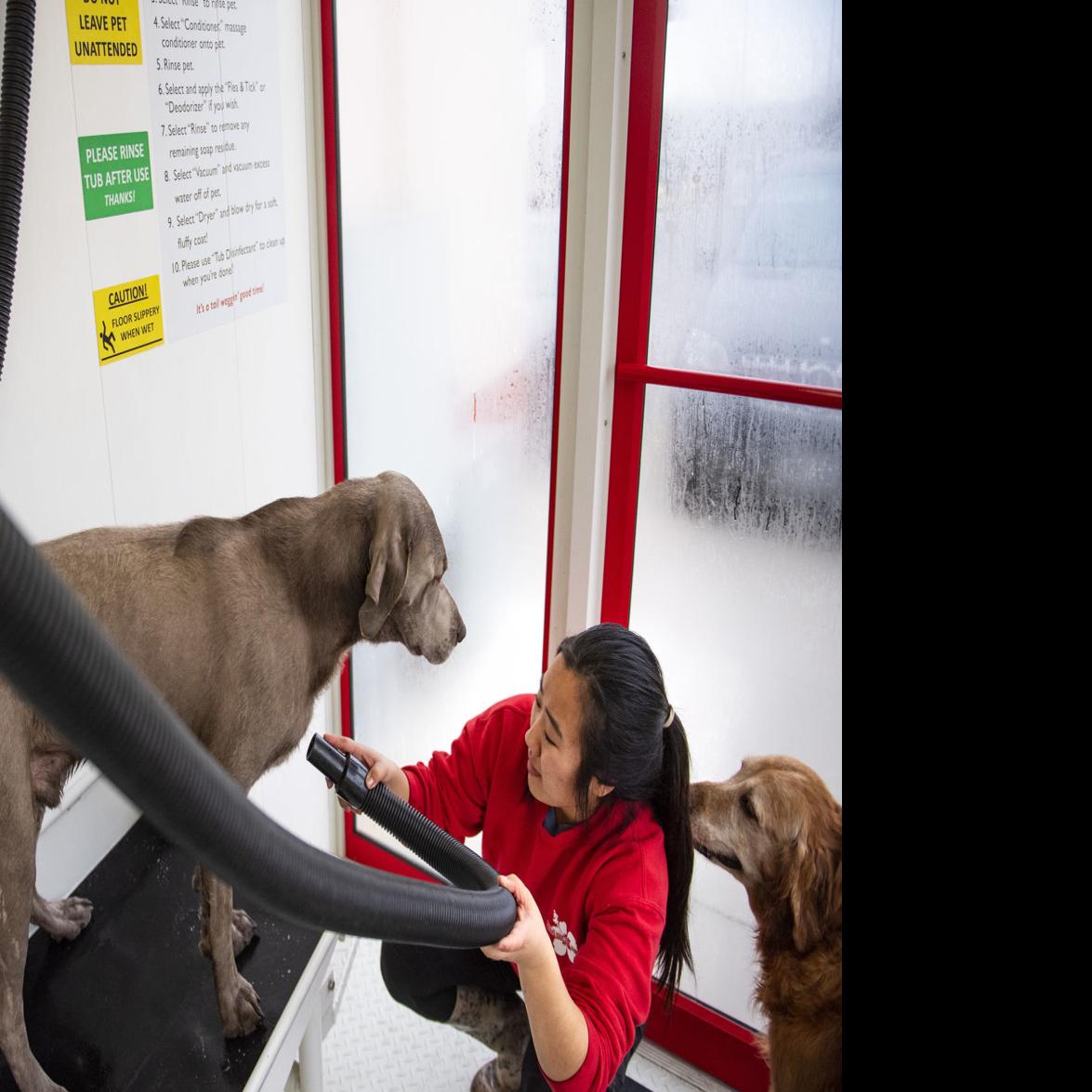 Pet Grooming Lincoln Ne