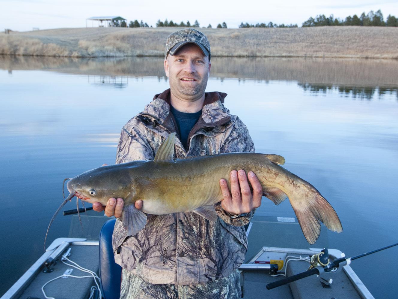 Get Channels Cats Often Misidentified As Blues This Time Of Year Free Get Wallpaper Channels Cats Often Misidentified As Blues This Time Of Year For Android Free