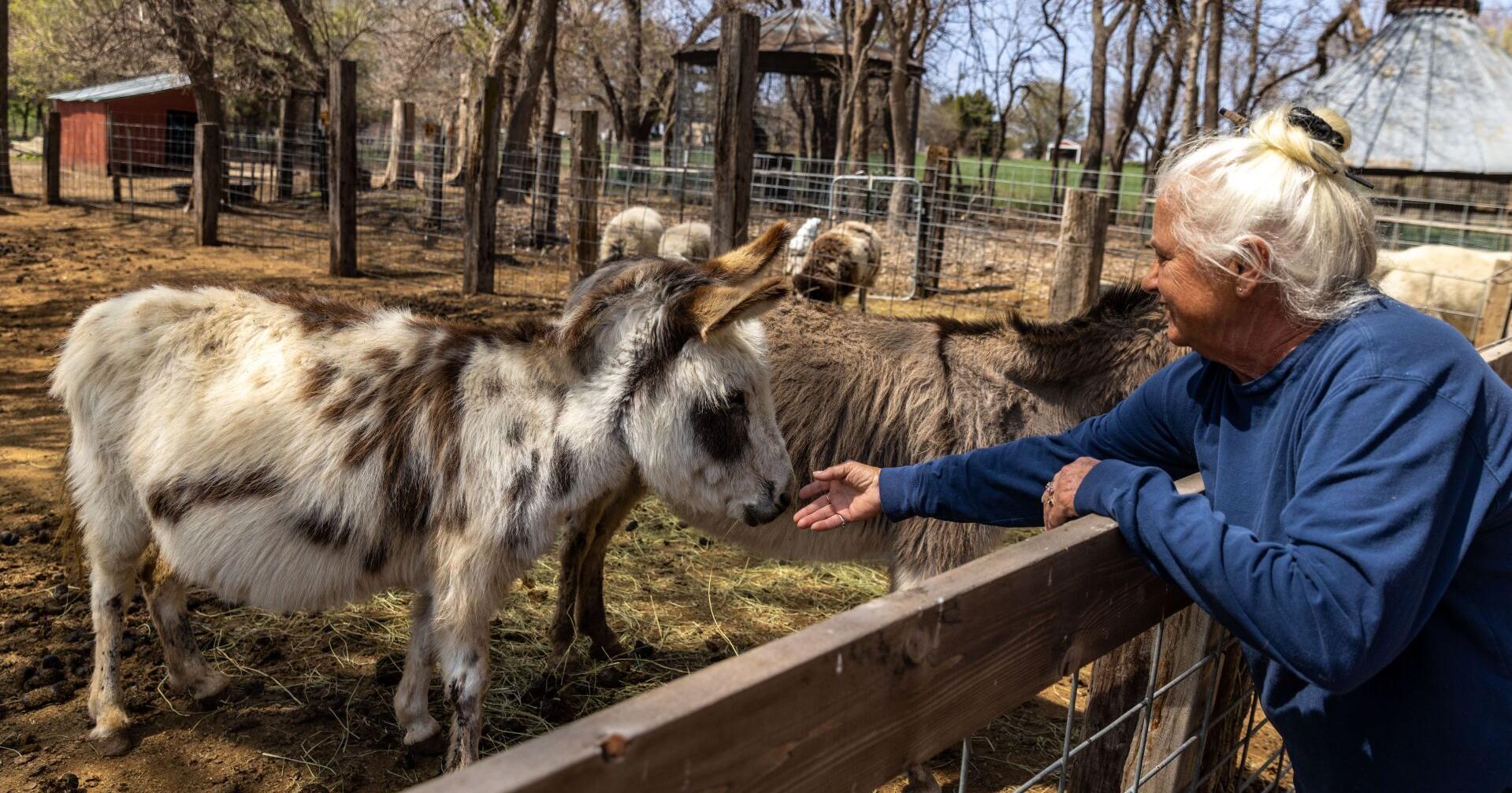 Old Poor Farm in Dodge County is part history lesson, part animal sanctuary - Vimarsana News