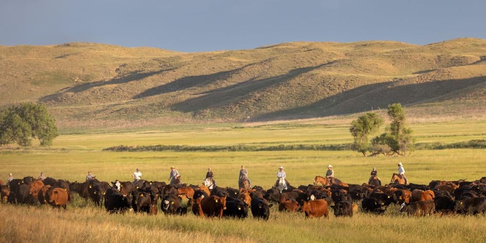 AgLand Mormon COPYRIGHT RESTRICTED, 11.29