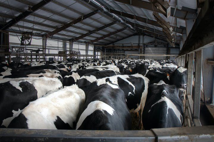 Federal Aid Improving “safety Net” For Midwestern Dairy Farmers