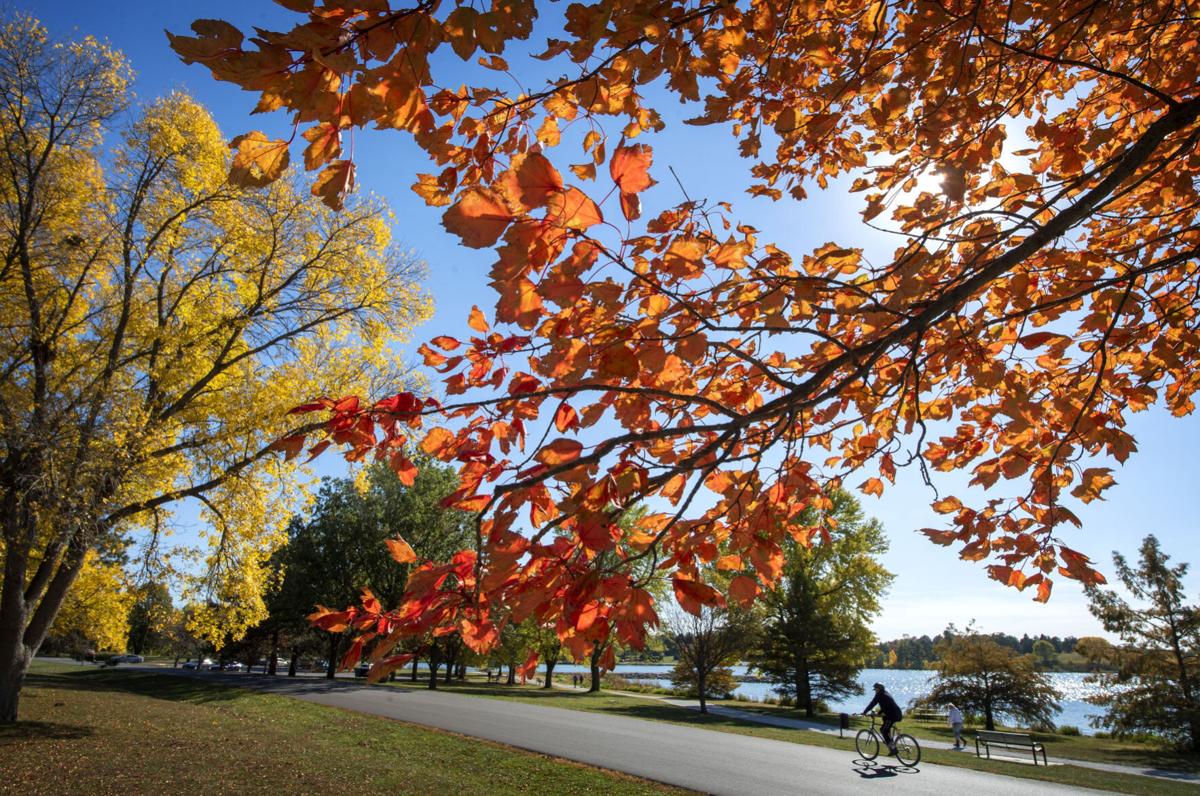 Fall Into Winter Feature, 10.21