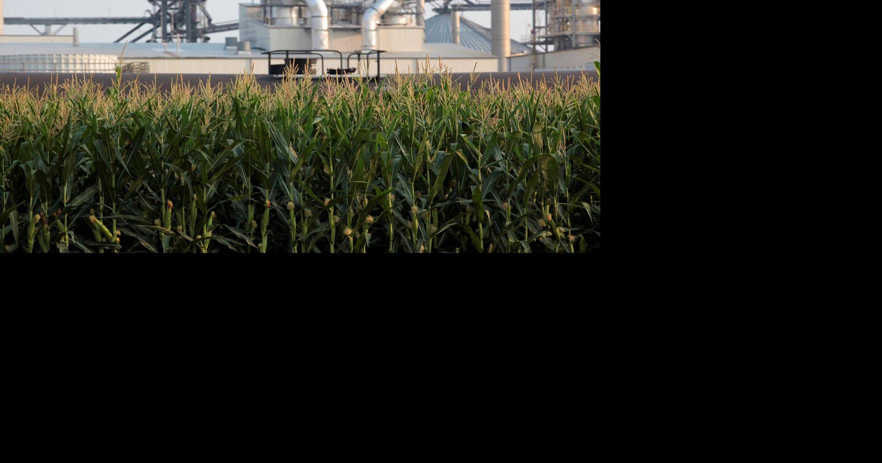 Nebraska county rejects allow for CO2 pipeline from Iowa