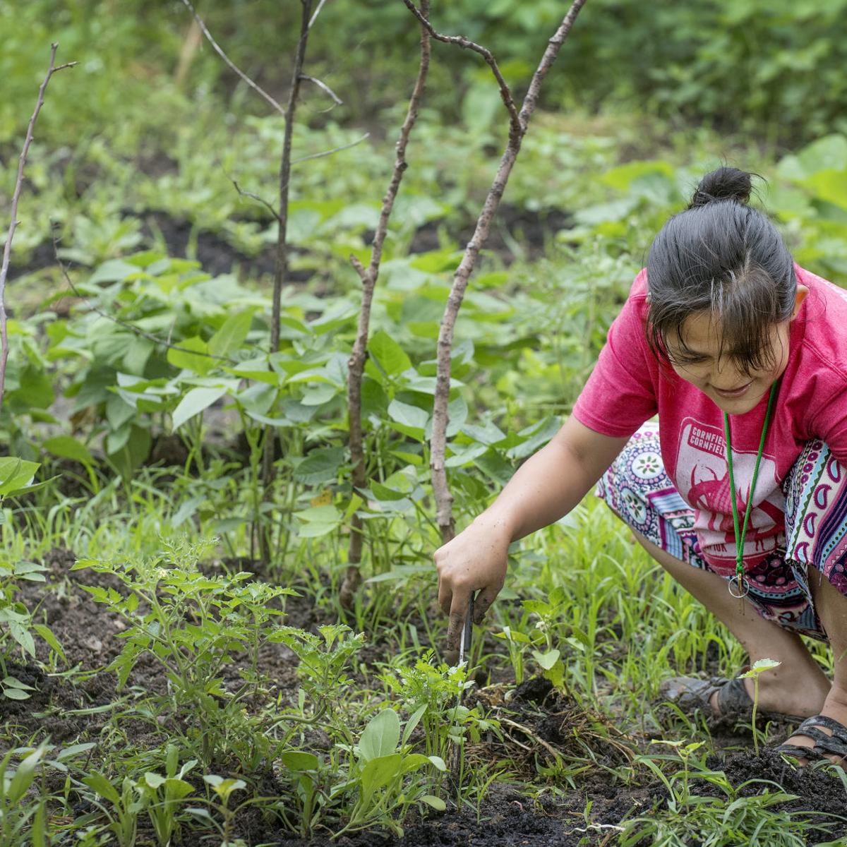 Members Of Karen Community Come Together For Garden With Taste Of