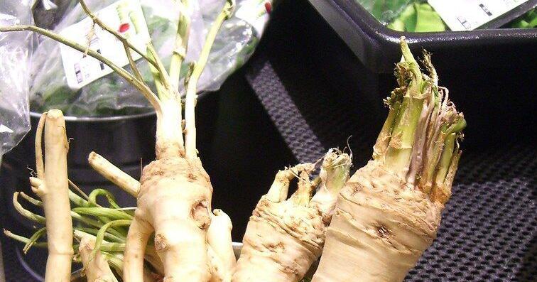 Sarah Browning: Horseradish is a spicy addition to the garden | Home & Garden Sarah Browning: Horseradish is a spicy addition to the garden | Home & Garden