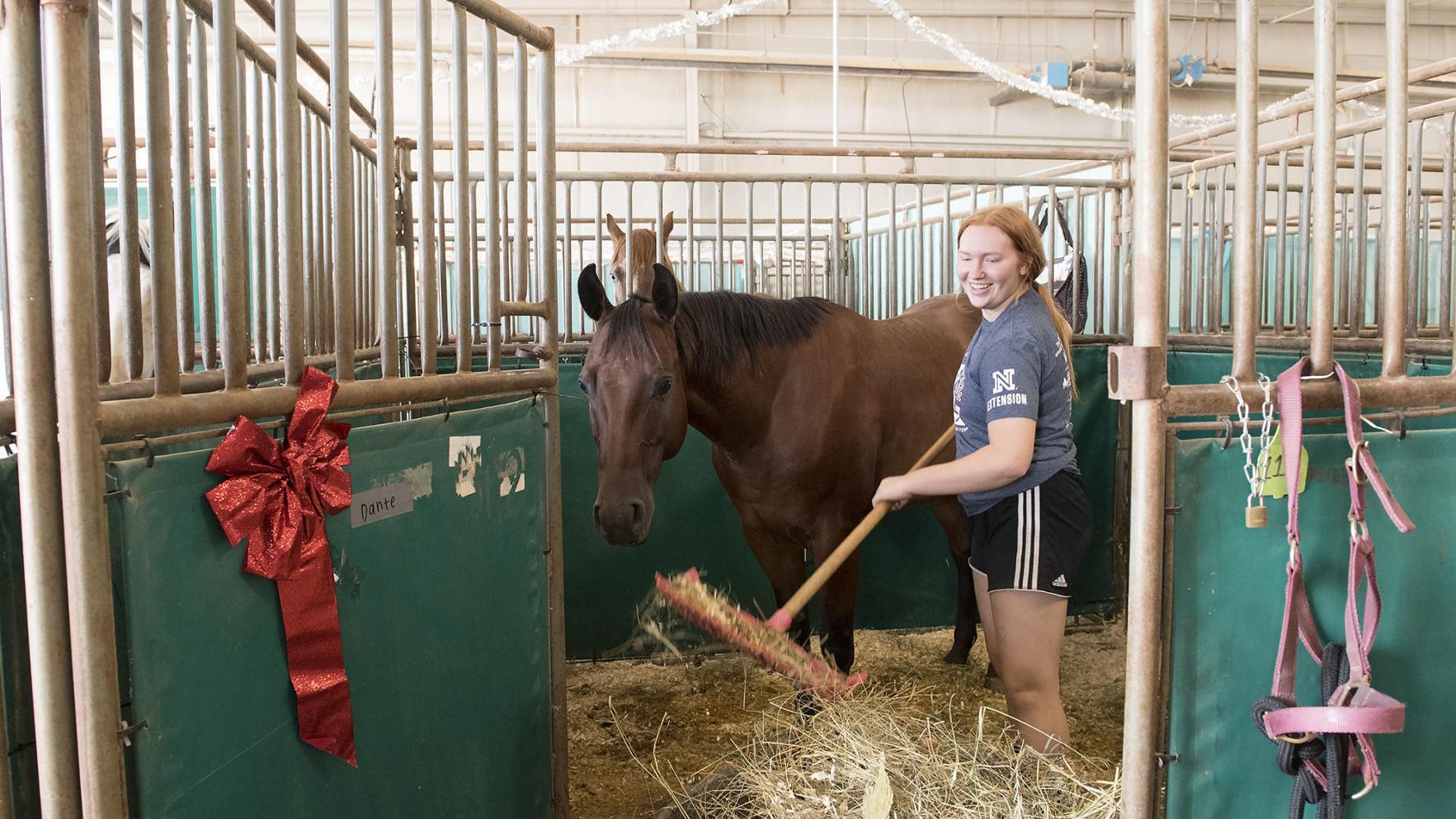 Midway To Stay Dark This Year As Lancaster County Super Fair Focuses On Youth Exhibitors Local Journalstar Com Lancaster County Fair 2022 Ne