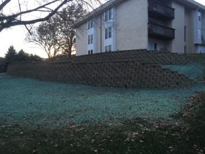 IMG_0588.JPG