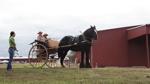 090421_CARRIAGE DRIVING 01 BLS