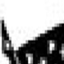 Honig Martin Lincoln Obituaries Journalstar Com