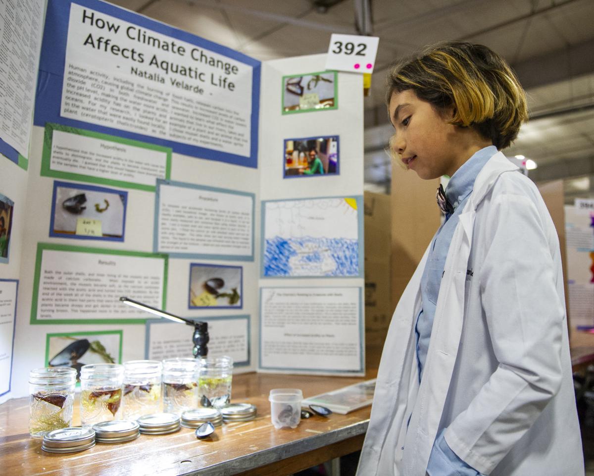 Climate Change Science Fair Projects climate-change-science-fair-projects