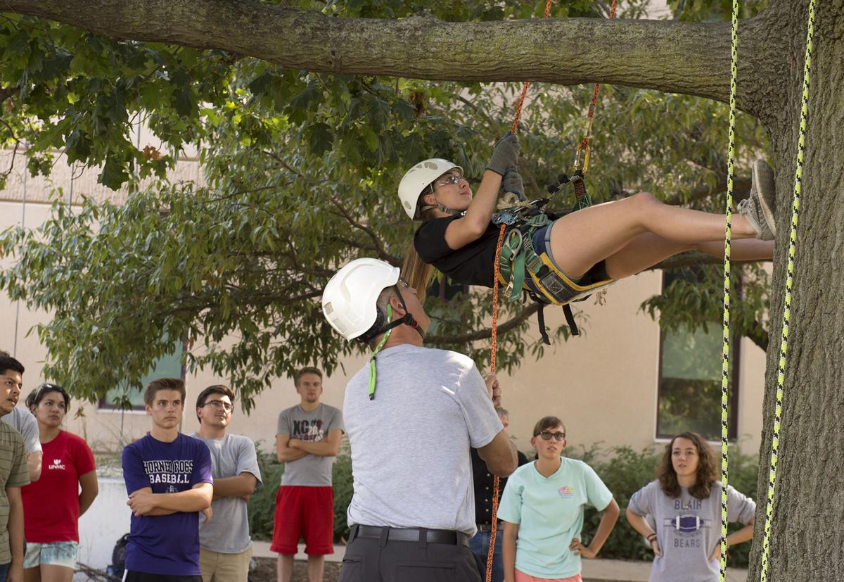 Professor hopes to interest UNL students in being 'Treehuskers'
