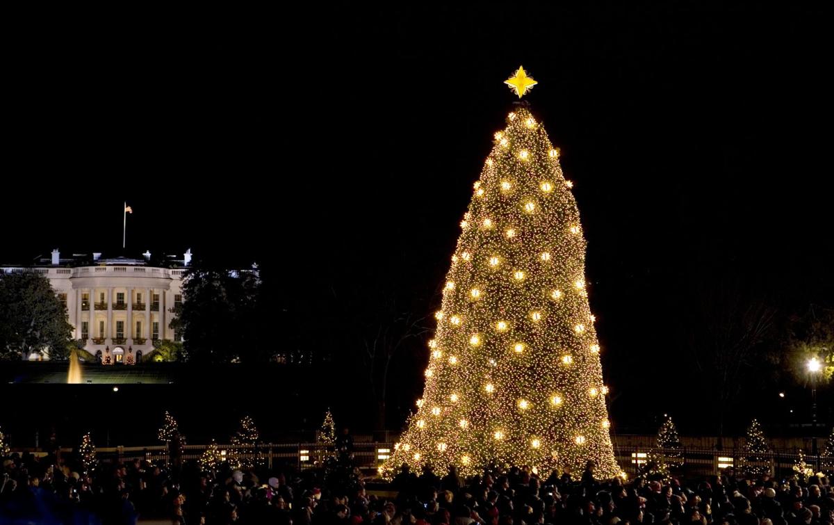 s Looking back at eight decades of National Christmas Trees Lifestyles
