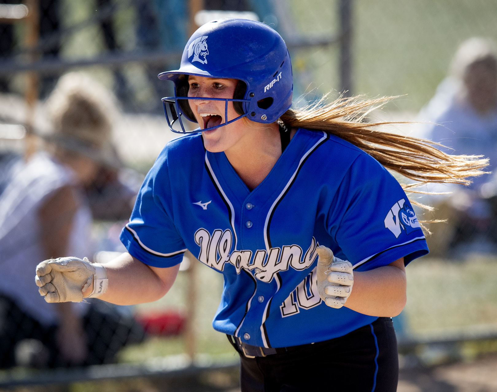 The Journal Star s 2019 Super State and all state softball honorees