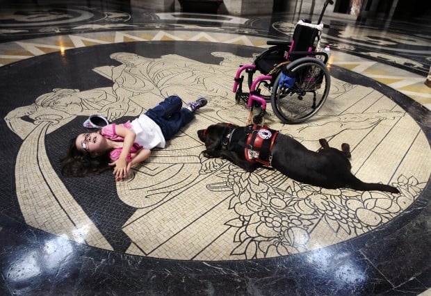 epilepsy therapy dogs