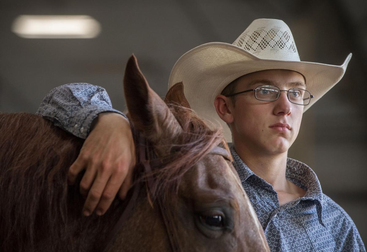 Matt Olson Horse Training, Sports team