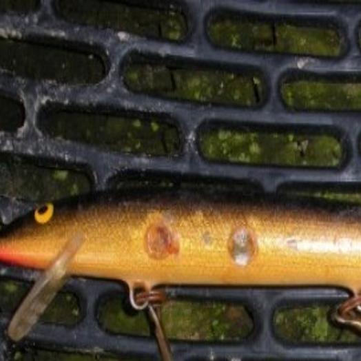 Suspended Bait Leads To Fishing Success Outdoors Journalstar Com