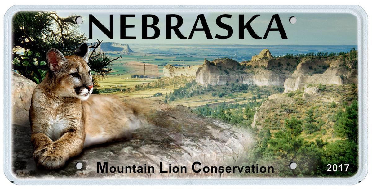 Mountain Lion License Plates Have Clawed Their Way To The Top