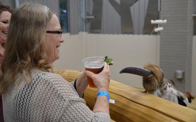 Brews at the Zoo raises $25K for animal care
