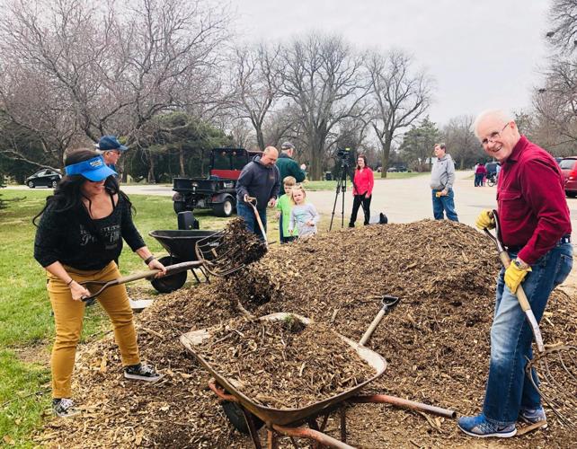 Rotary #14 tree mulching