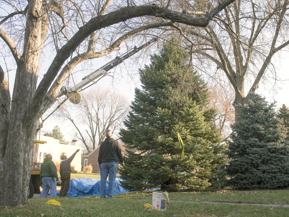 Capitol's official Nebraska Christmas tree comes from Lincoln home