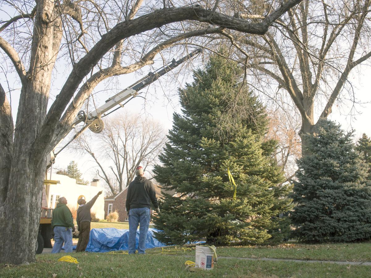 capitol s official nebraska christmas tree comes from capitol s official nebraska christmas tree comes from