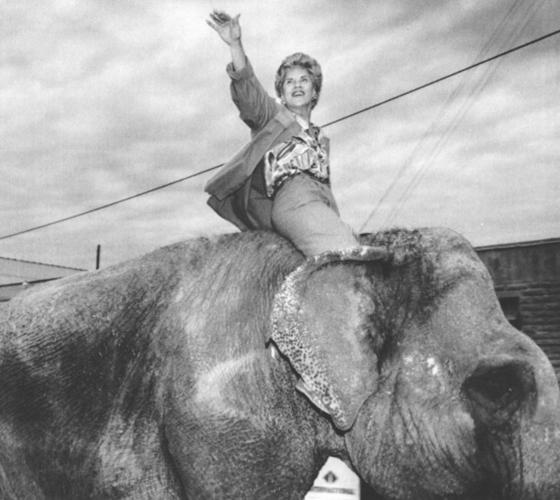 Orr Takes an Elephant Ride