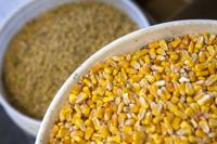 Top Journal Star photos for October