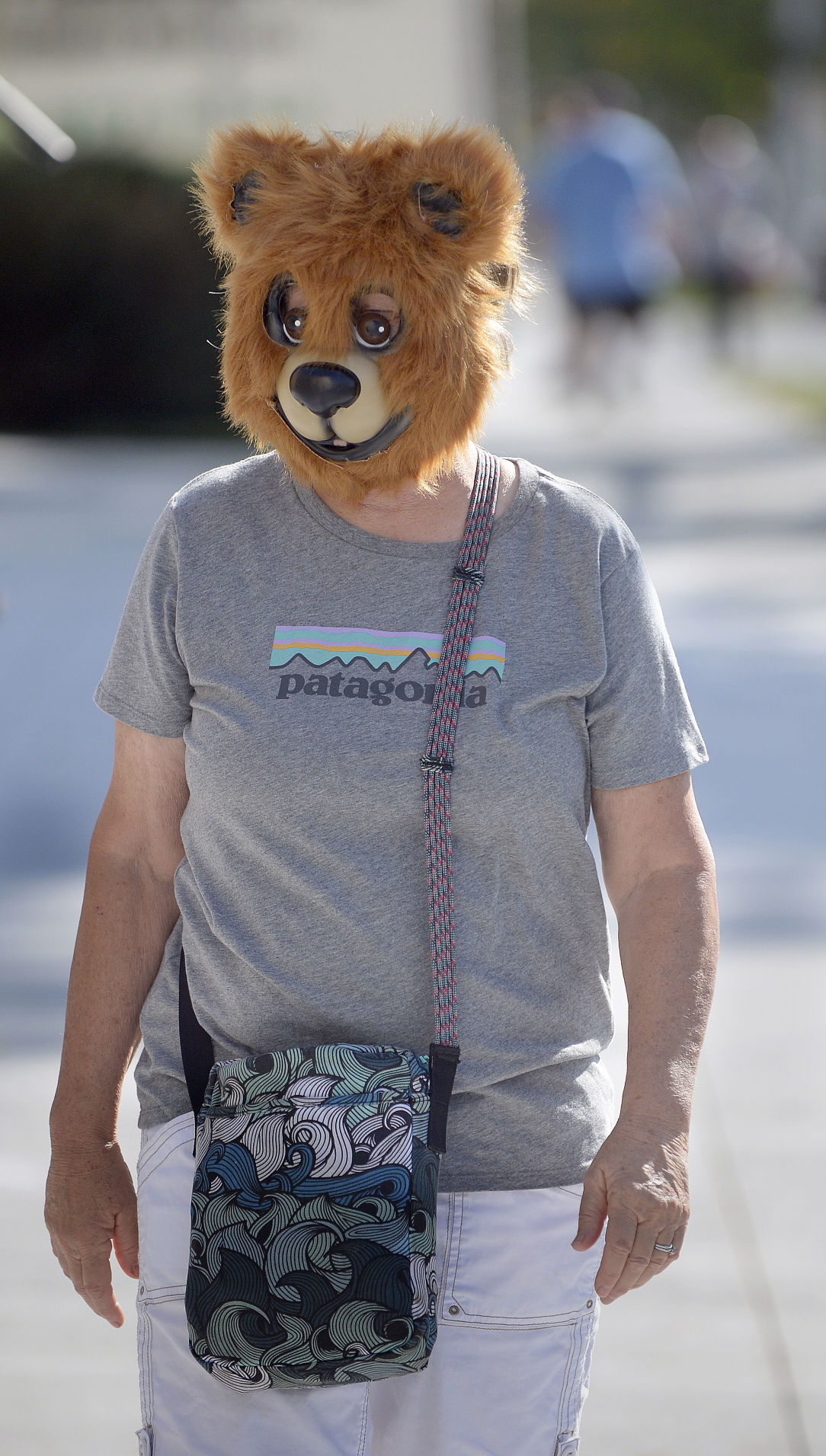 Bear mask