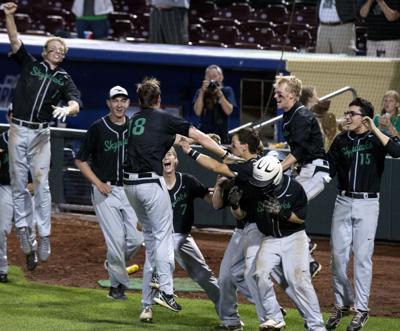 skutt norris class state baseball knocks ranked off omaha journalstar tournament teammates celebrate win against tuesday game