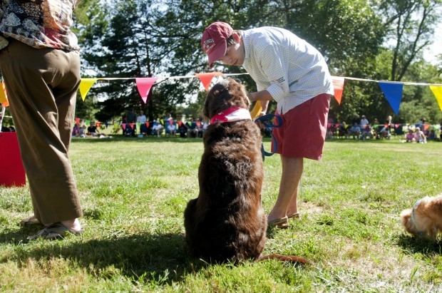 Dog Show