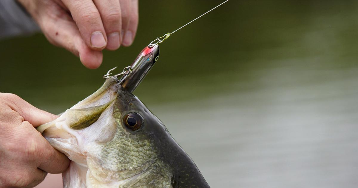 How to Pick the Perfect Treble Hook for Any Bass Fishing Lure