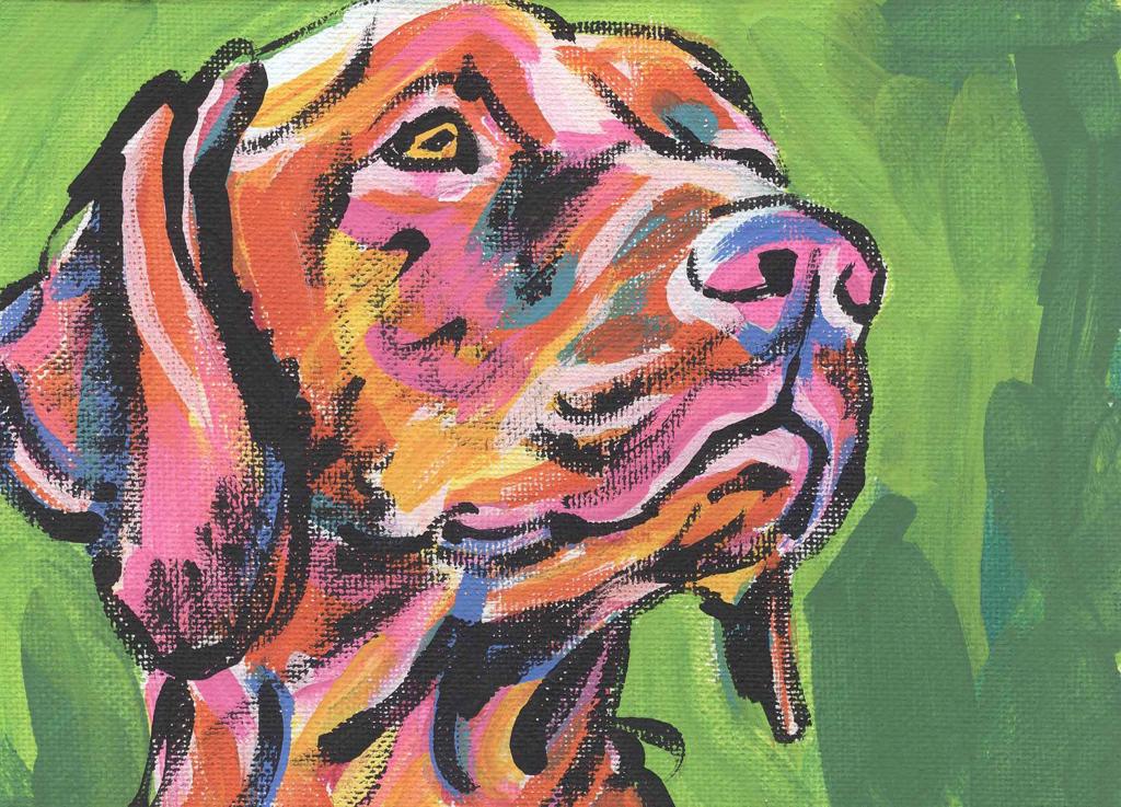 Crafts To Do With Your Pets Pets Journalstar Com