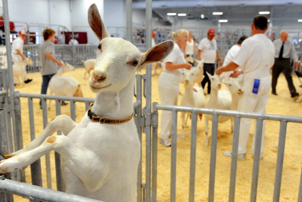 Nebraska State Fair
