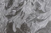 Top Journal Star photos for December