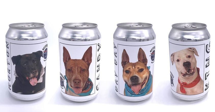 Dogs on beer cans