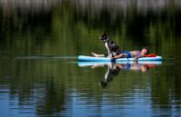Top Journal Star photos for September